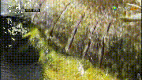 看完这部综艺向东北菜道歉