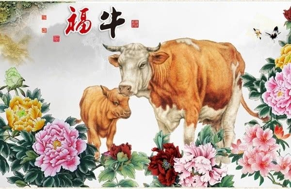 1973年属牛巨蟹运势 属牛巨蟹座