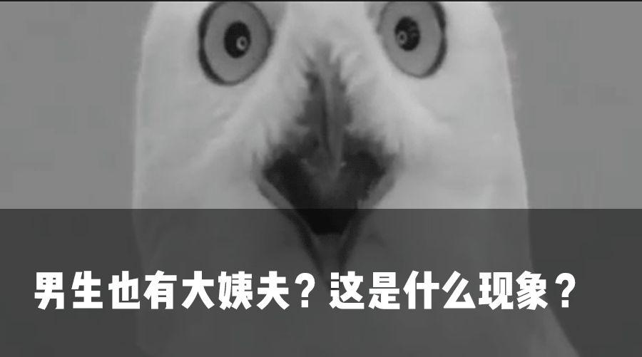 有没有哪个明星一看就整了，但就是没人嘲？