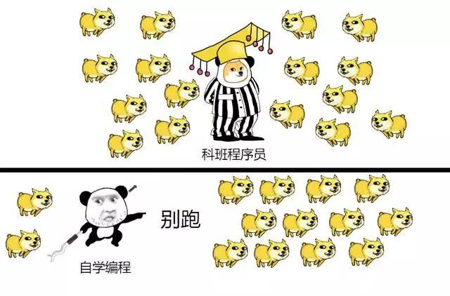 一张图告诉你,自学编程和科班程序员的差别在哪