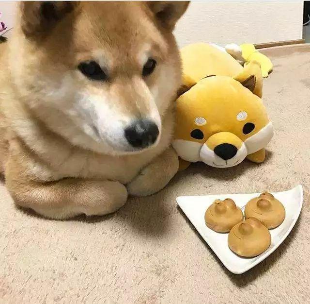 辛辛学子大幂幂,徐徐生辉李易峰