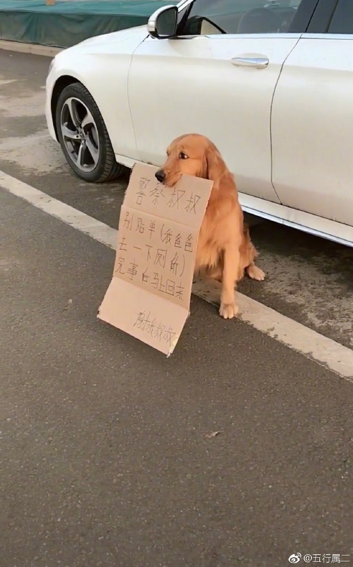 每日神段子丨生活让你咬牙坚持的真正目的是让你的咬肌变大 ​​​​