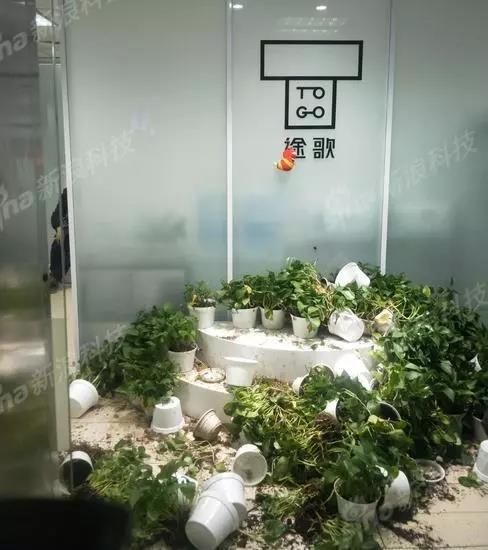 砸办公室、搬电脑、围堵CEO，途歌上演讨债大作战