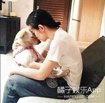 被他和流浪猫狗的故事感动了...