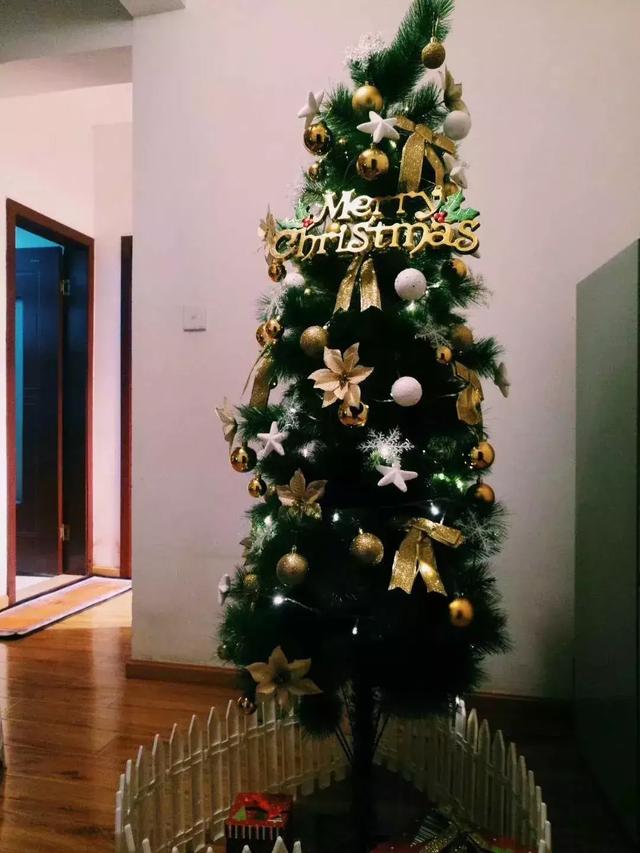 圣诞树也有新花样,YOYO特意送给你看看