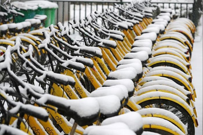 ofo迅速崛起又急速衰落 共享单车真的是愚蠢业务吗