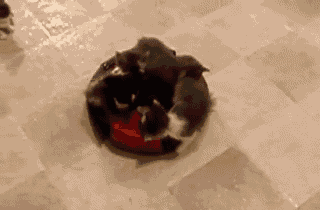 那些信过Refa、蒸脸仪邪的人,来看看你们交了多少智商税!