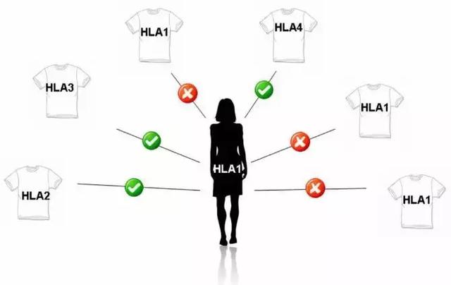 新年脱单术：DNA相亲了解一下