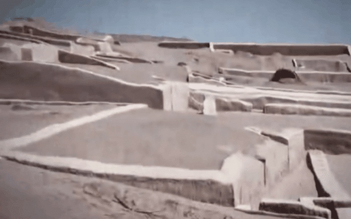 纳斯卡线条或是外星飞船“灯塔”，为啥却要画成各种动植物图案？