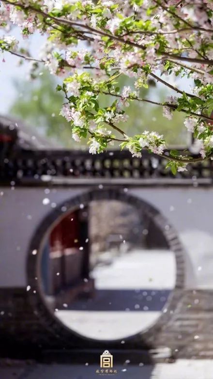 我们将是有史以来第一届能「在宫里过年」的普通人 | 唠氪儿