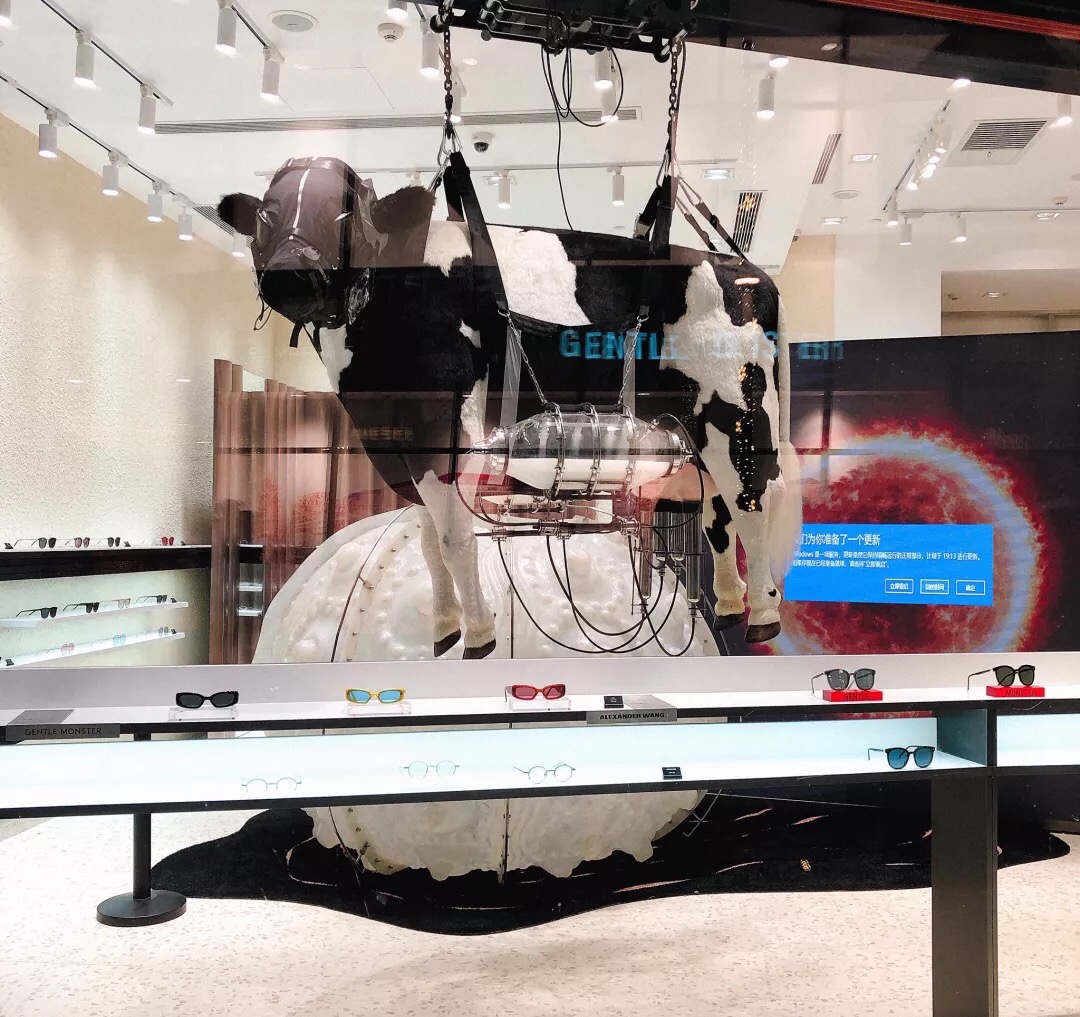 从“正经饺子馆”到“正经动物园”,他们用艺术展为购物中心制造新鲜感