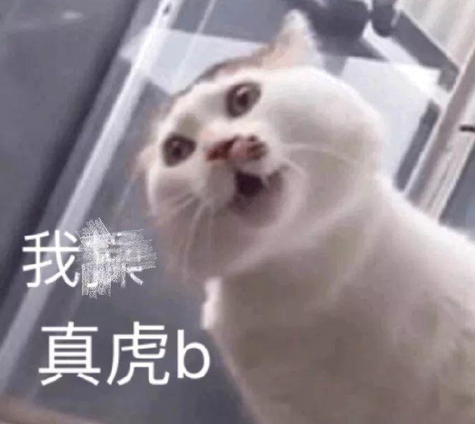 пڳ˽ʲô飿