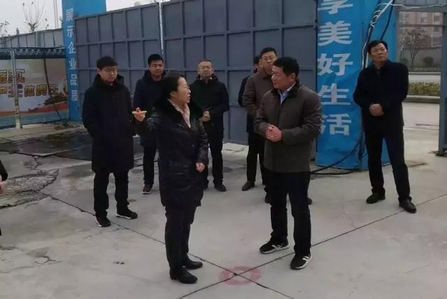 临颍县长赵丹等相关领导一行莅临祥龙凤凰城工地进行指导工作!
