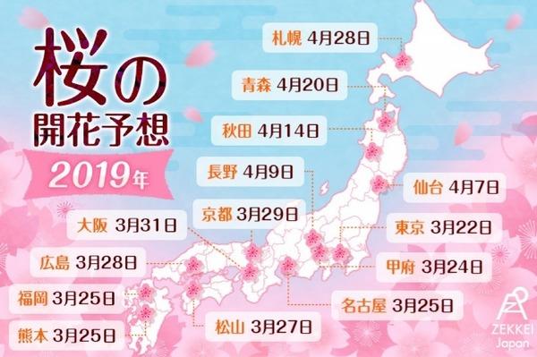 日本2019年樱花开花预测发布,日本旅游必备
