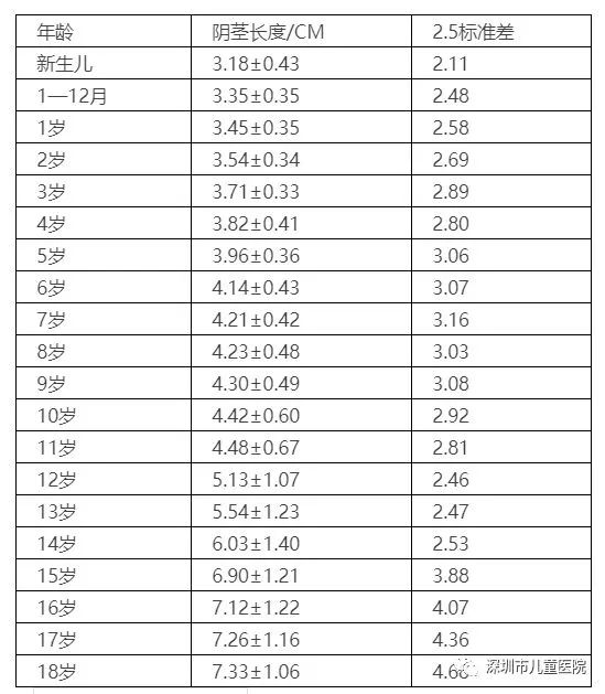 小鸡鸡长度也有国际标准低于这个数的赶紧看医生吧