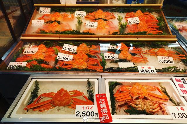 夏日全民旅行记:日本动漫朝圣之旅——跟着柯南游金泽
