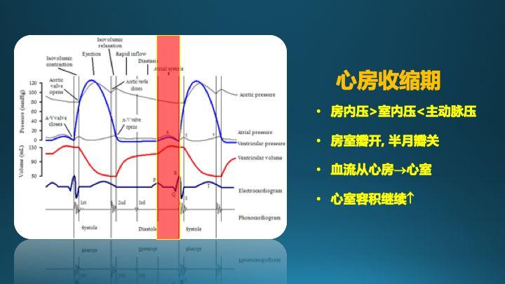 如何在心电图及心脏超声中识别并理解心动周期?