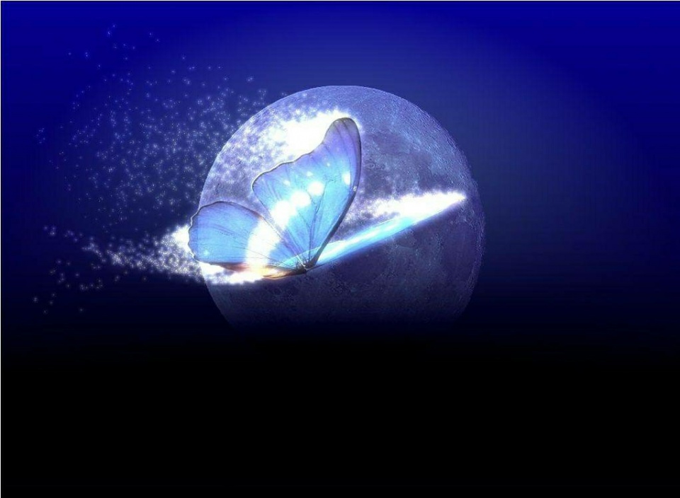 到底应该怎样评价雷军和他的小米手机在中国手机发展中的作用