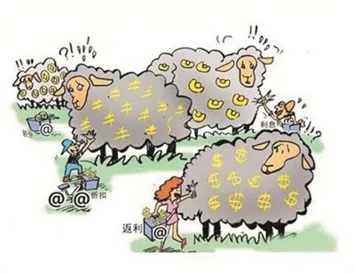 【深度好文】拼多多薅羊毛损失千万,电商营销者如何避免被薅羊毛__凤凰网