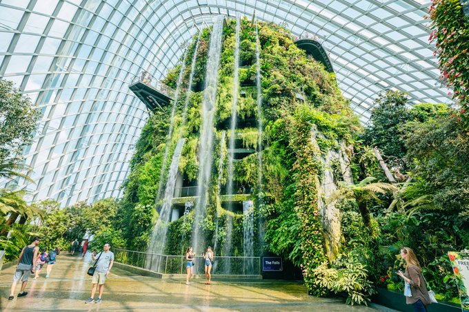 新加坡最大的室内瀑布:滨海湾花园之云雾林__凤凰网