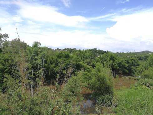 罗定市上宁村格木桥村梁氏始祖及发源地