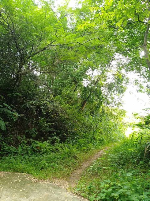 罗定市上宁村格木桥村梁氏始祖及发源地