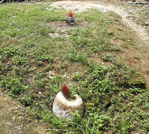 罗定市上宁村格木桥村梁氏始祖及发源地