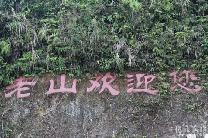 永远的麻栗坡,永远的老山
