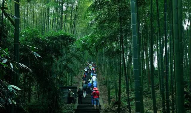 春节期间继续免费！来贵州旅游就对了！优惠政策和路线都准备好了！