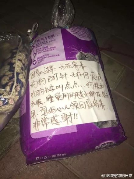 今年回家，我不再是一个人了！