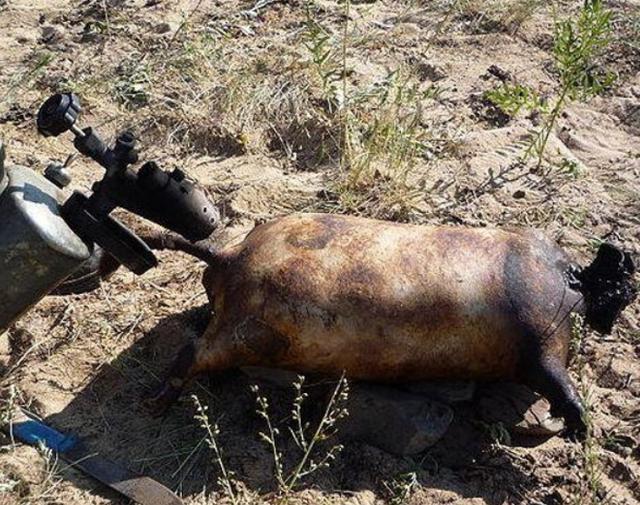 欧美评的8种恶心食物,有一种在中国是八珍之一,营养还没鸡蛋高