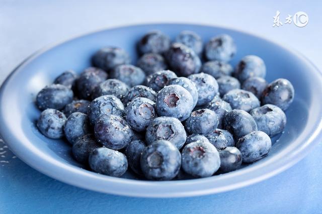 蓝莓栽培技术 蓝莓的种类