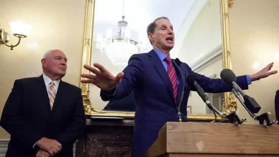 美国参议员提案,隐私泄露应让CEO坐牢,网友:想法很美好