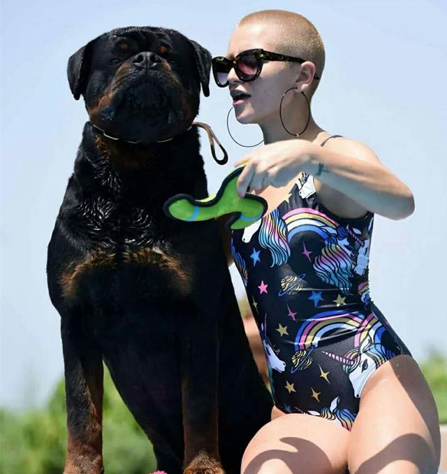 二十种猛犬排名,进一步感受巨无霸的魅力