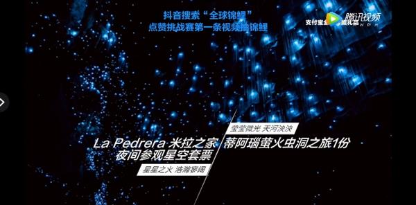 支付宝全球锦鲤公布 网友：败给了一只鼠标