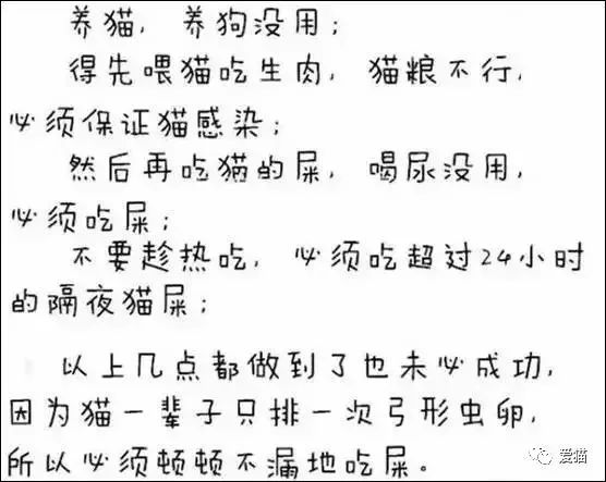 心痛!《中国特色四大养猫悲剧》让我们一起终结吧!