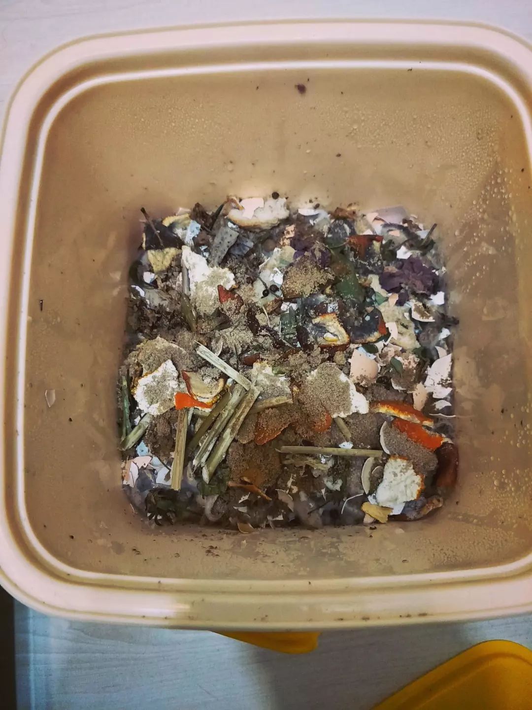 厨余果皮,菜叶垃圾变成环保实用的酵素,用来浇花特别好