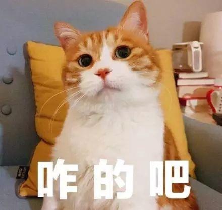 ձŮͬʯͷλǰģ