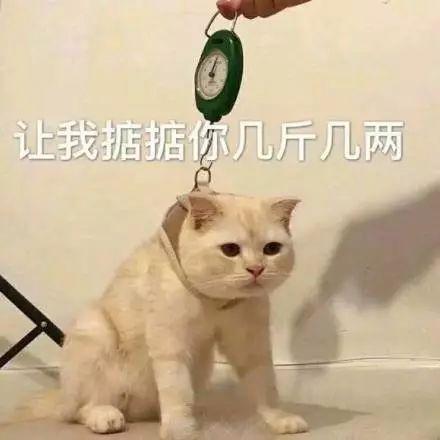 ձŮͬʯͷλǰģ
