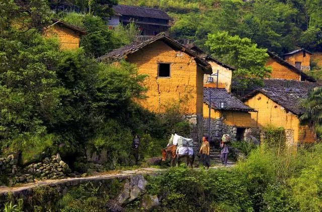 浙江排名前十的“好空气”旅游目的地，有你附近的吗？