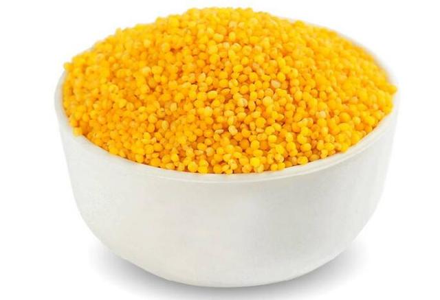 小米虽小,营养却大!黄小米有6大功效,如何挑选优质黄小米?