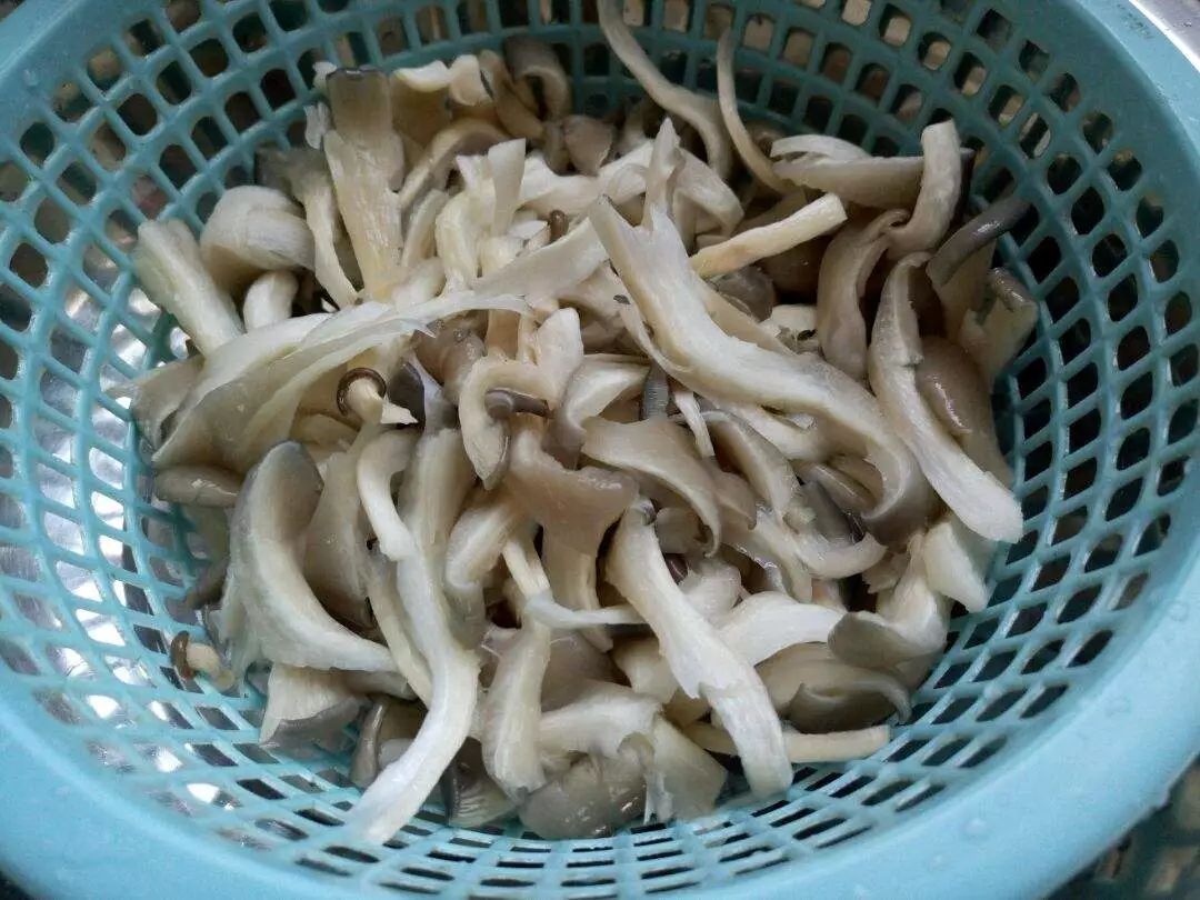 平菇可以这样吃：能顶一顿肉吧