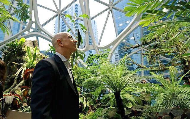 狂砸250多亿！亚马逊花7年时间，造了一个让人自愿加班的办公室