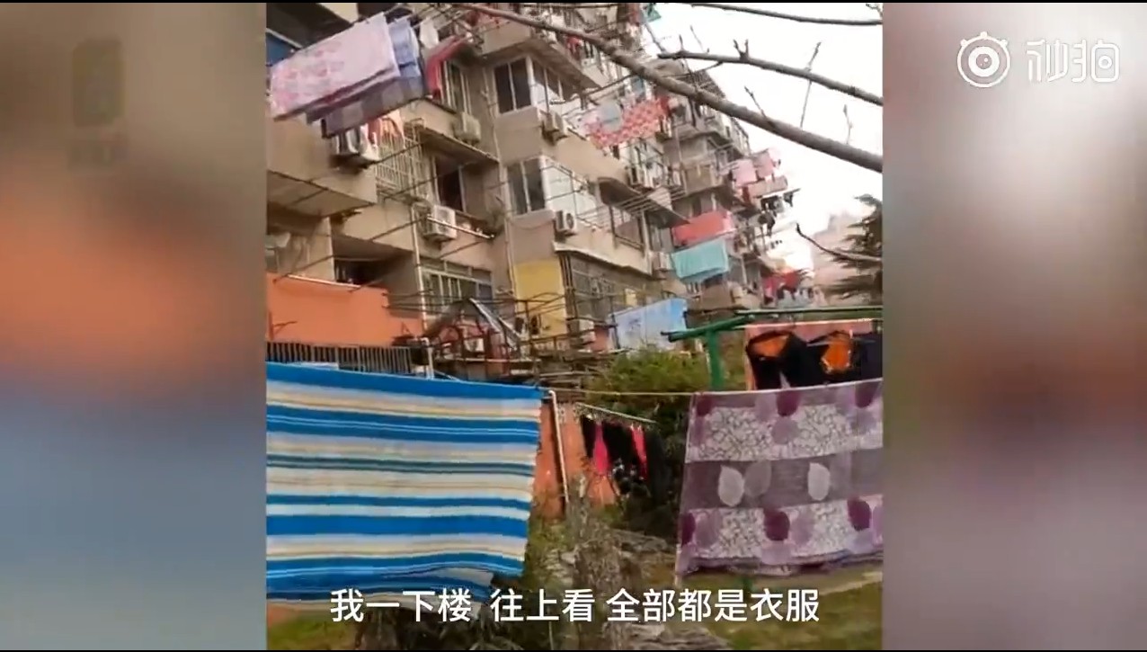 悲闻：江浙沪人民种的太阳又要去流浪了！