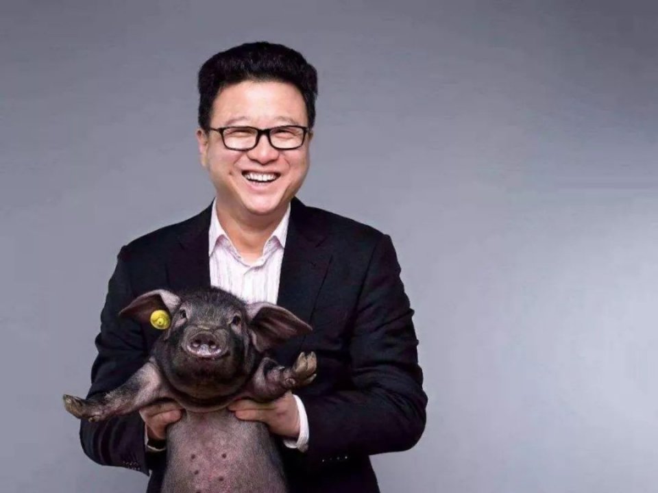 丁磊过冬,网易不易