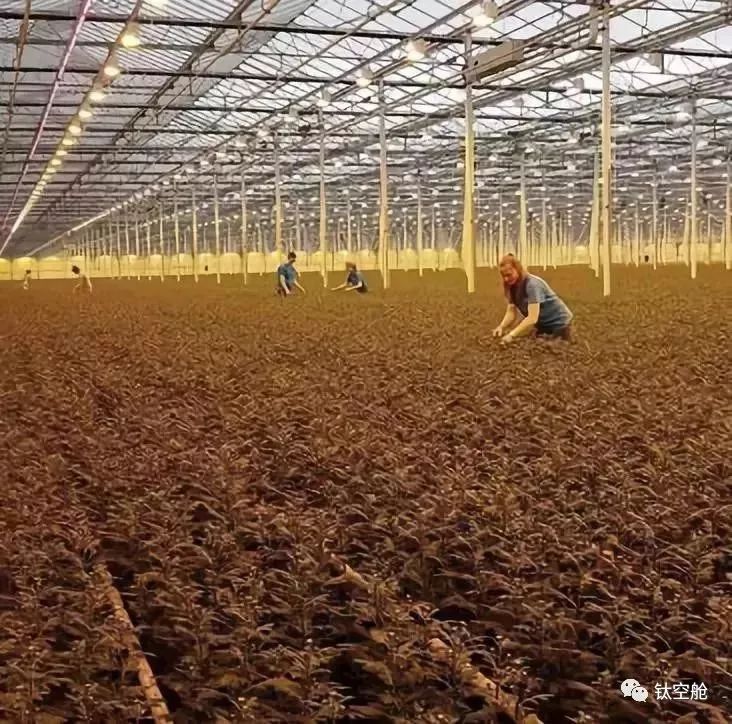 限时买二赠一，植物染发剂不伤发还护发，数次断货，即将售罄，现在剁手还来得及 | 钛空舱