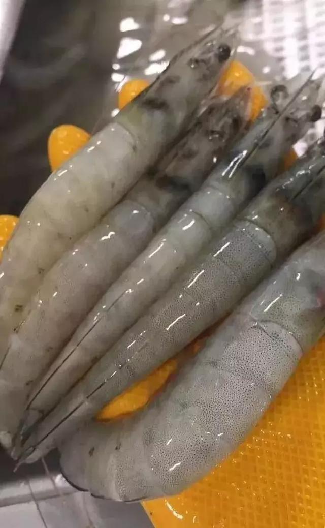 厄瓜多尔白虾真好吃,但真的不是海捕的!