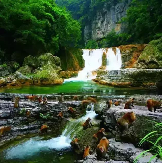 头条▎山西这些旅游景点免费啦，只限几天哦……