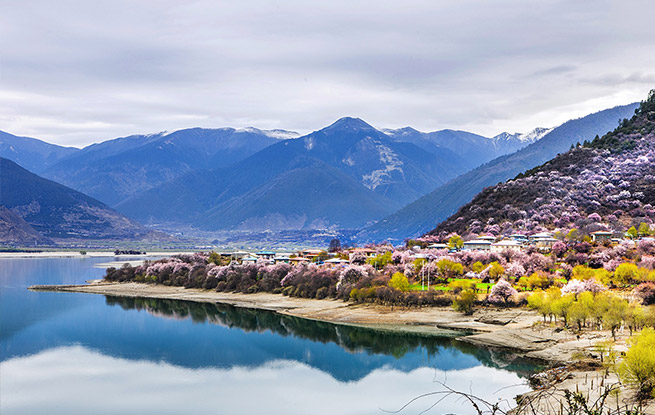 惧怕高原反应又艳羡西藏美景,那么来林芝吧!三月林芝美如画