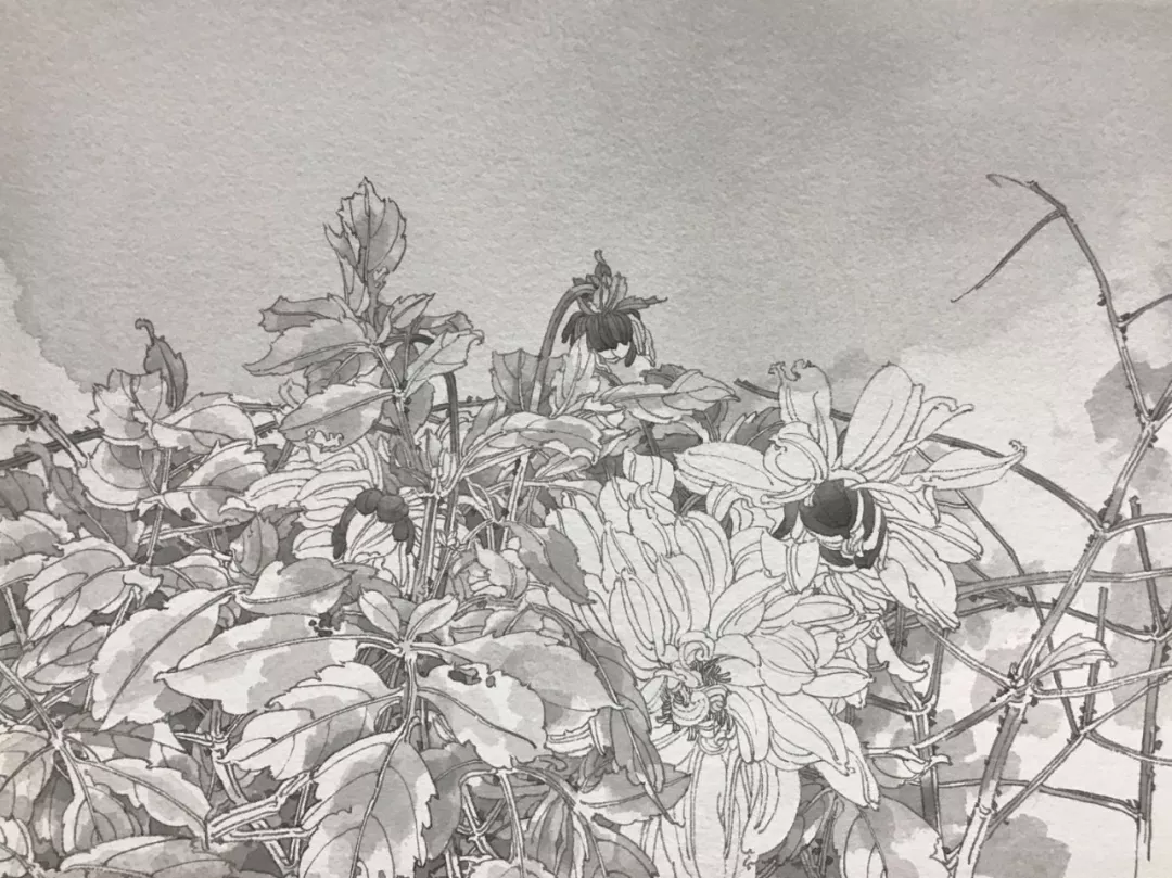 杨文森线描写生作品欣赏